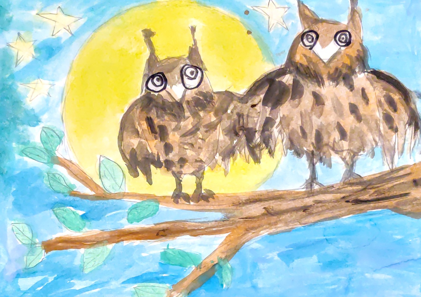 Совы ночью