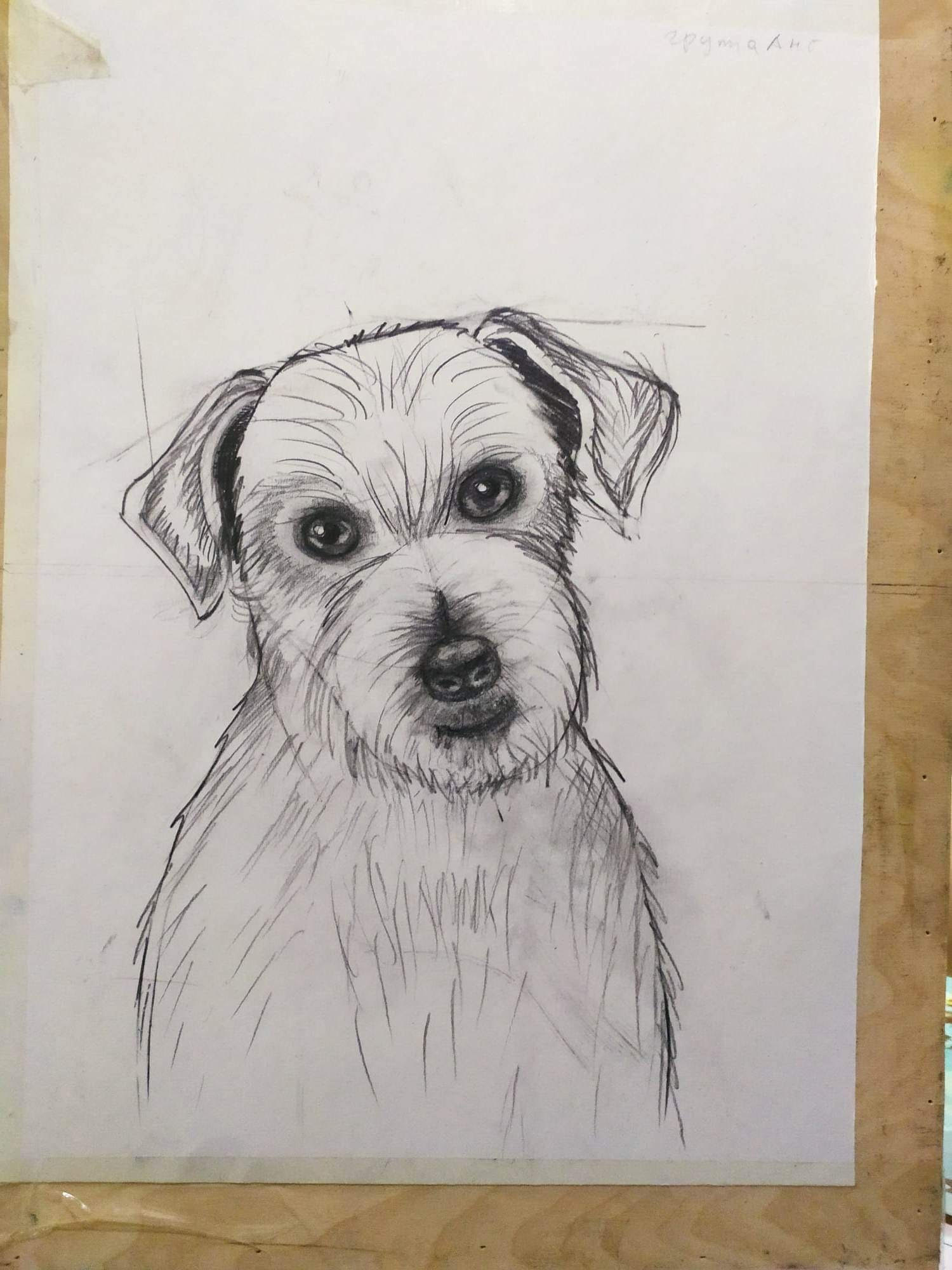 Портрет собаки